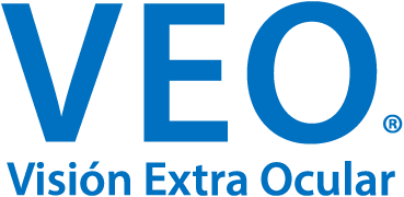 vision-extraocular1